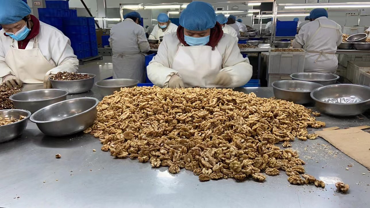 Walnut Kernels In Halves
