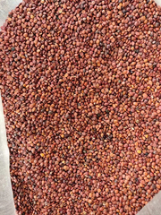 Spina date seed/Sour jujube kernel/Suan zao ren
